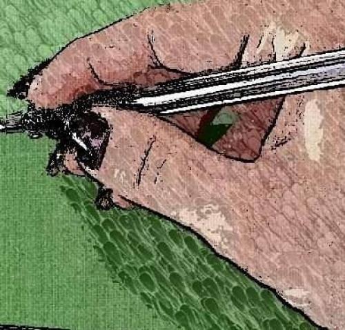 BAKIN NE DEMİŞLER?